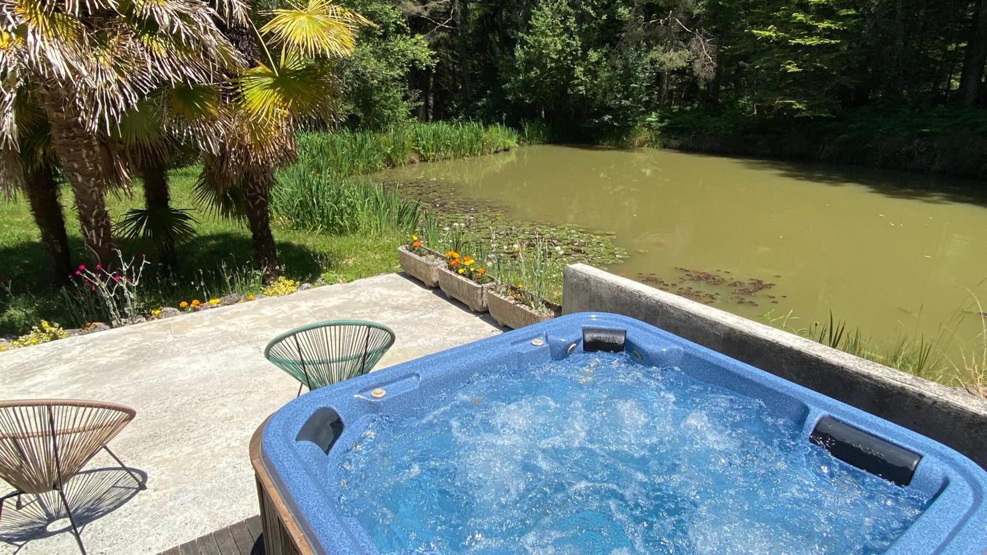 Maison De Maitre - Bed & Breakfast Dans Une Foret Royale Avec Piscine Et Spa Sainte-Croix-Volvestre Exterior foto